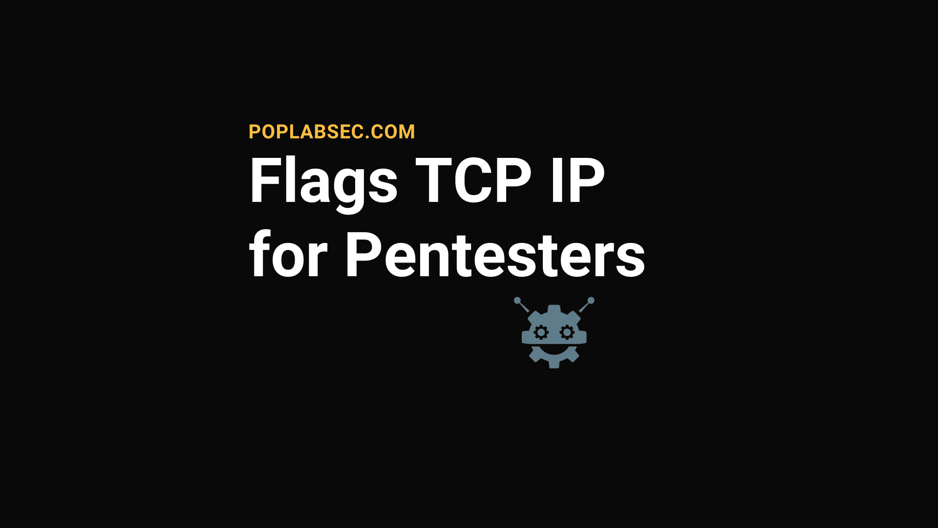 Flags TCP IP for Pentesters