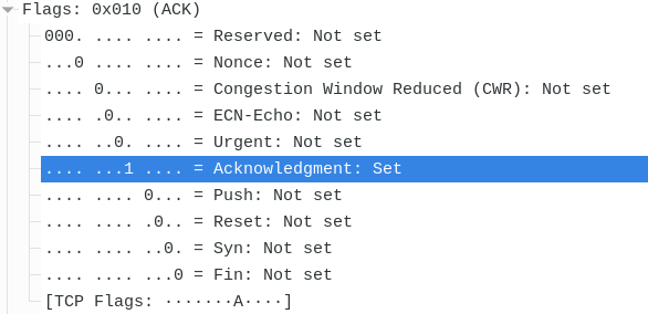 flags tcp ip 6 TCP ACK Flag