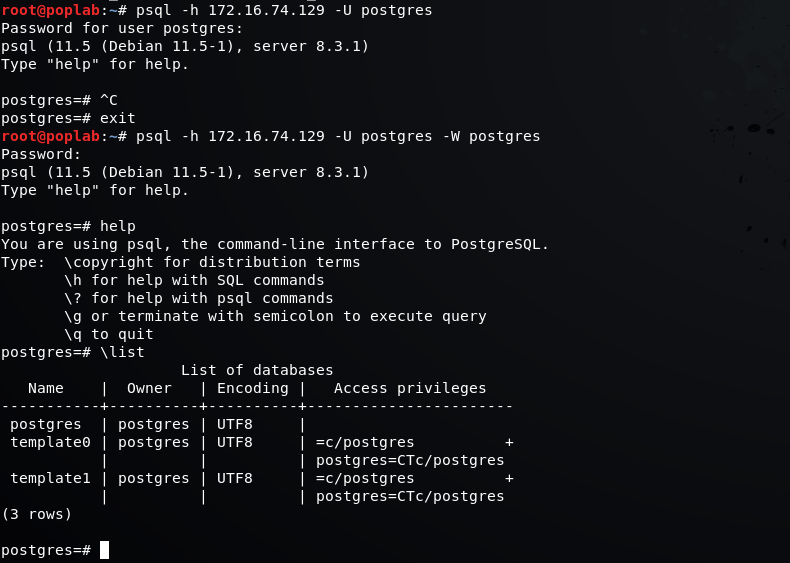 PostgreSQL Penetration Testing