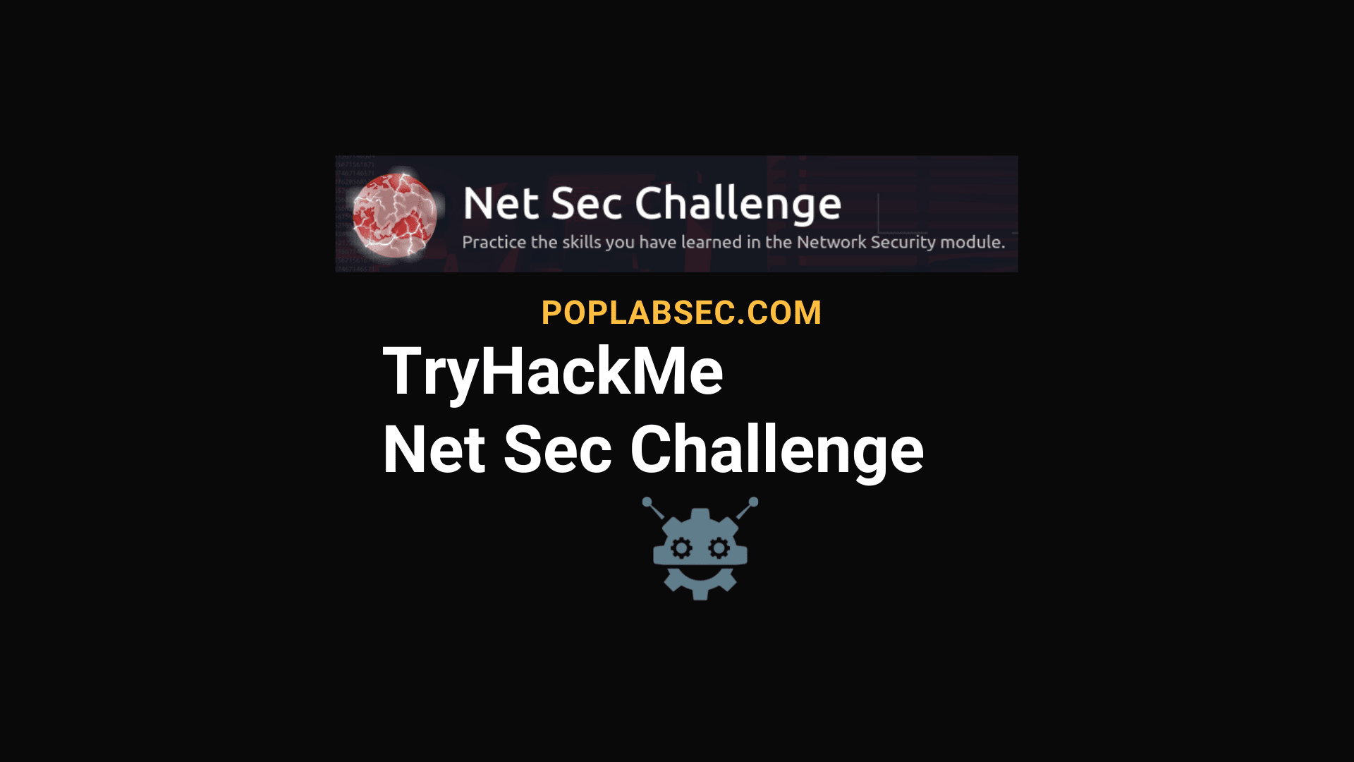 TryHackMe Net Sec Challenge