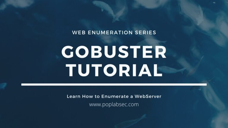 Gobuster Tutorial: Web Directory Enumeration