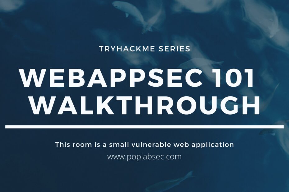 WebAppSec 101 Walkthrough