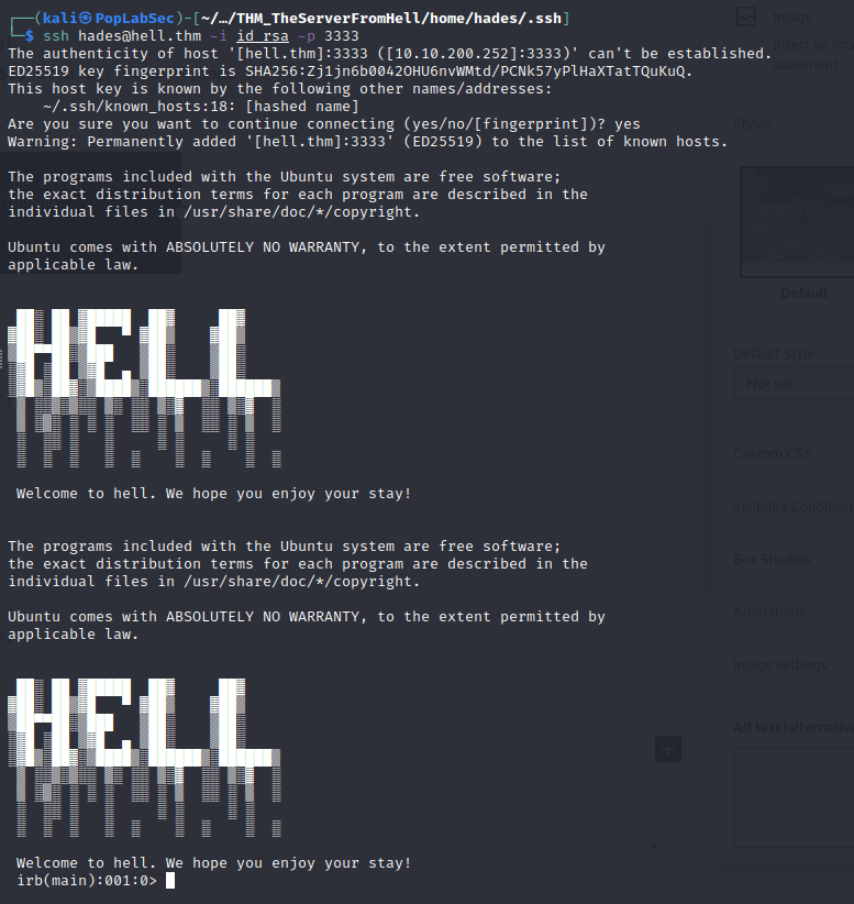 TryHackMe The Server From Hell