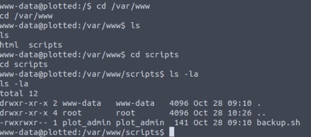 Plotted-TMS: Complete TryHackMe walkthrough 43 user www-data