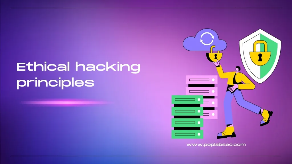 Ethical hacking principles